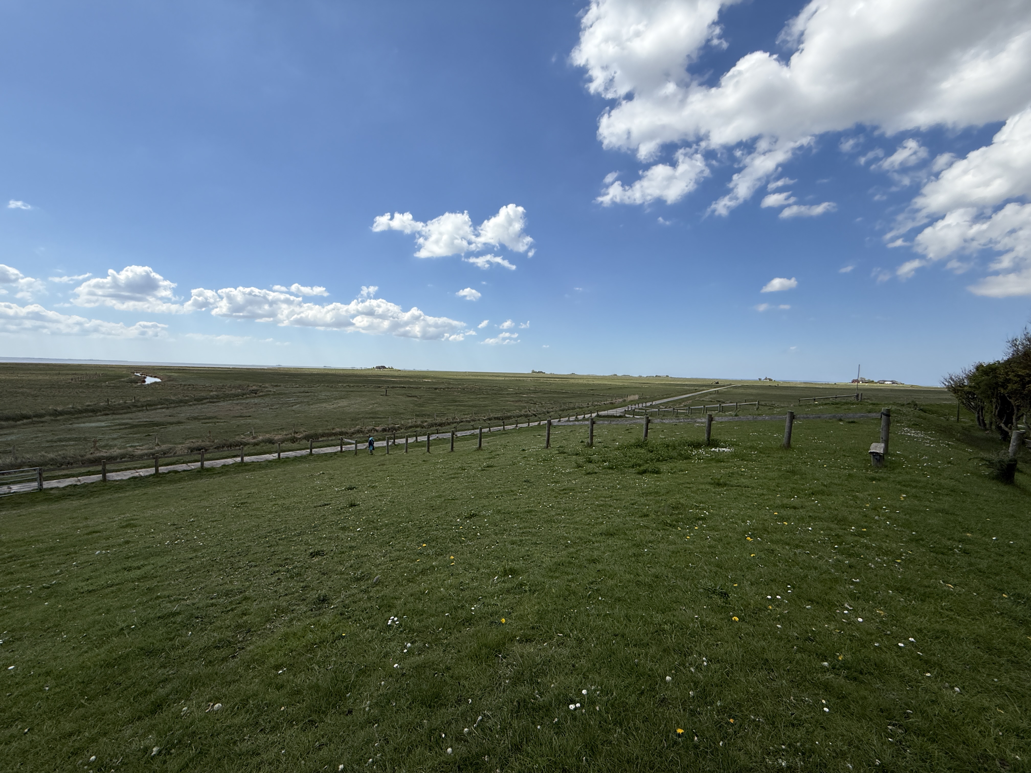 Weitblick - Warftlage - Ruhe