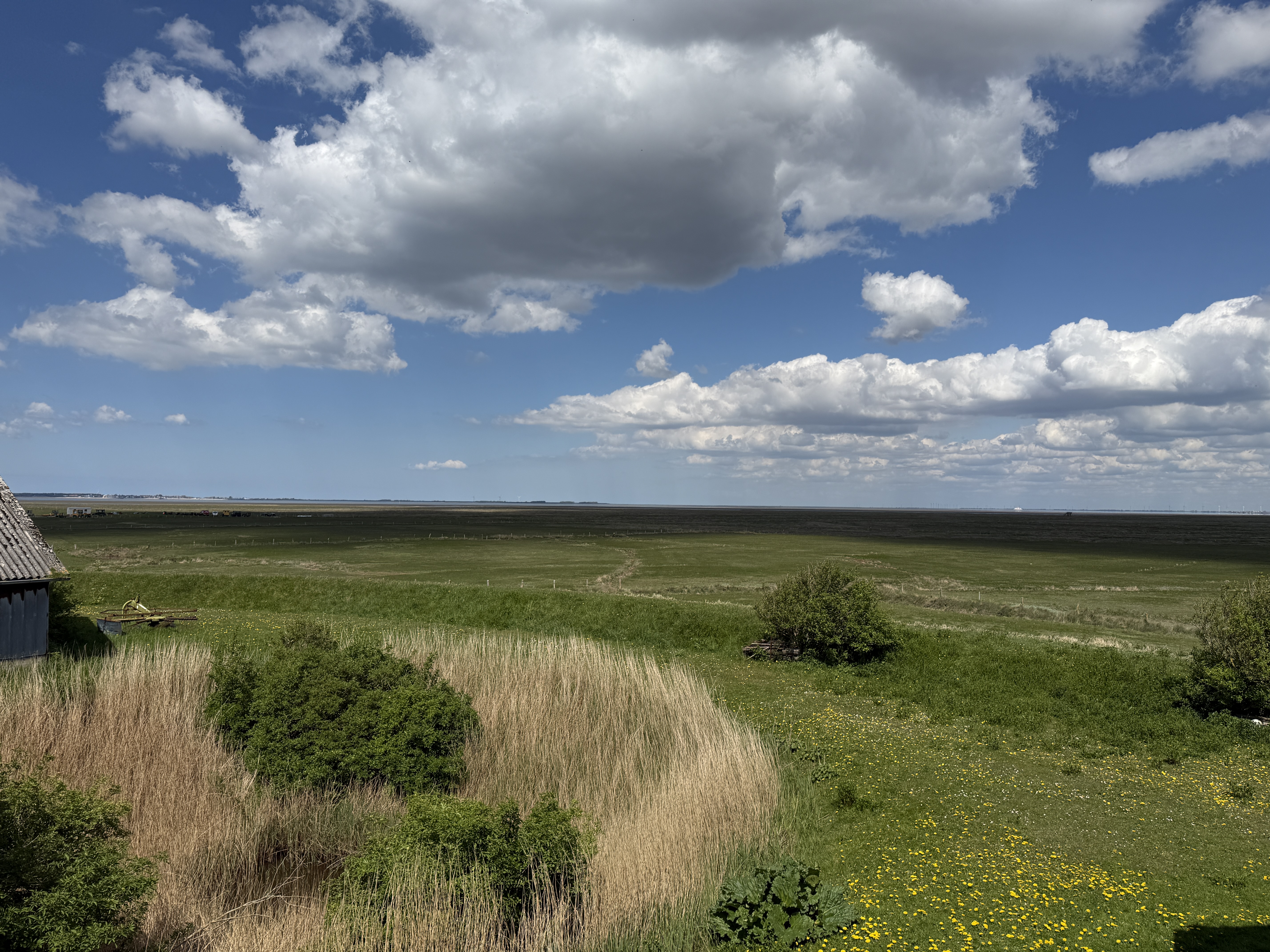 Hallig Langeneß - Natur Pur