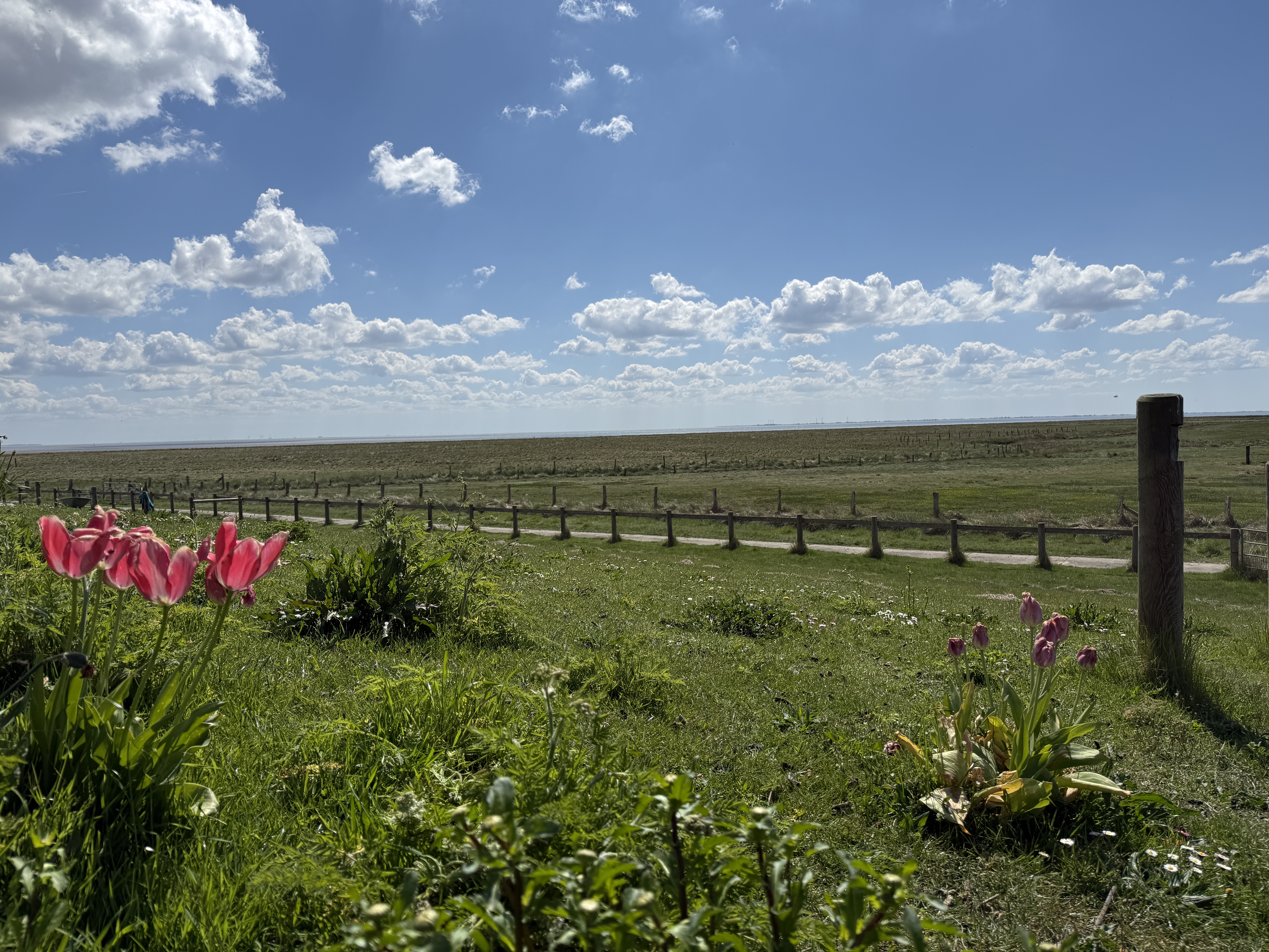 Natur und Weitblick