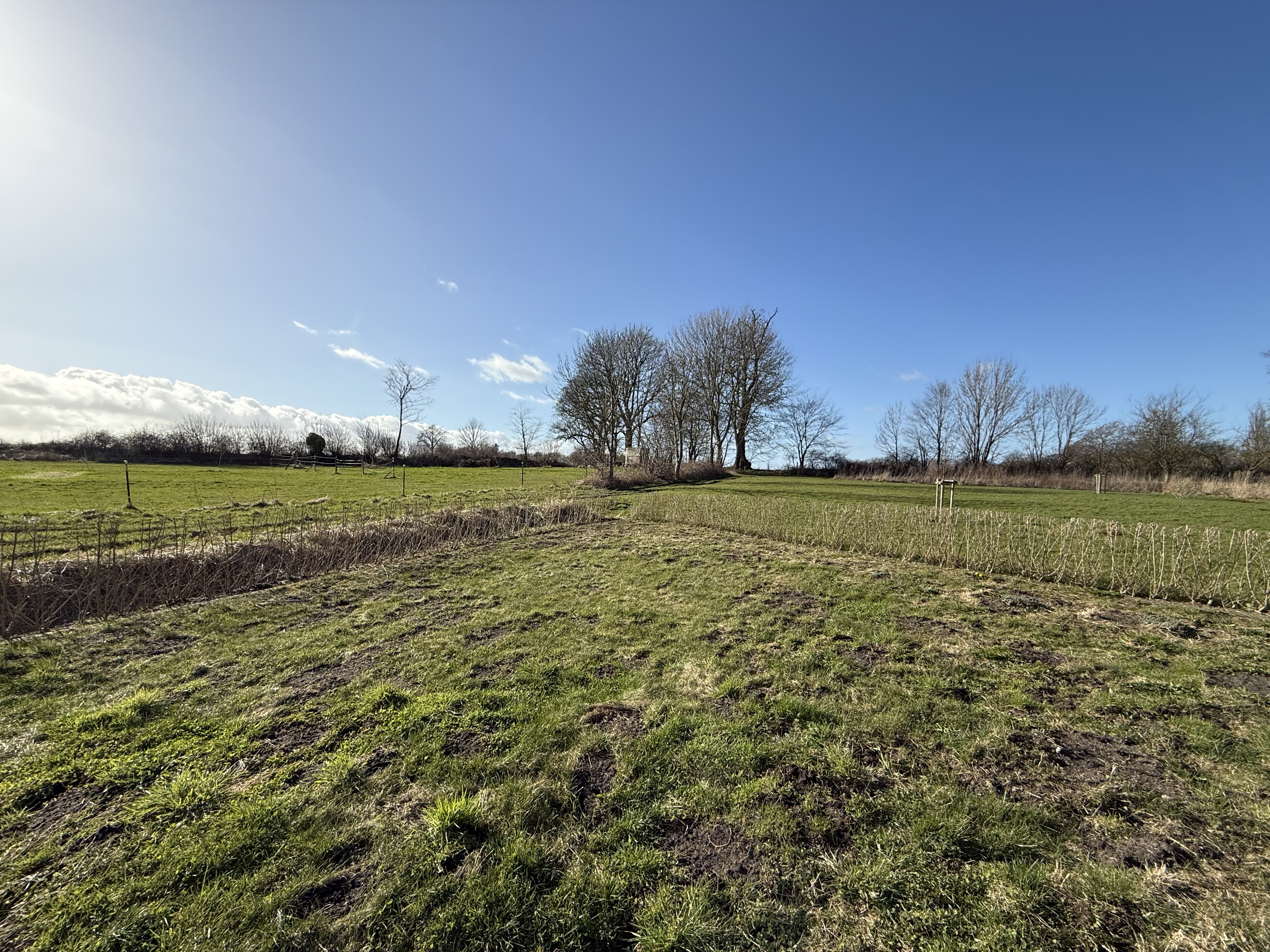 Garten + Aussicht